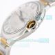TW Factory Swiss 2824 Cartier Ballon Bleu Copy Watch Two-tone Strap (4)_th.jpg